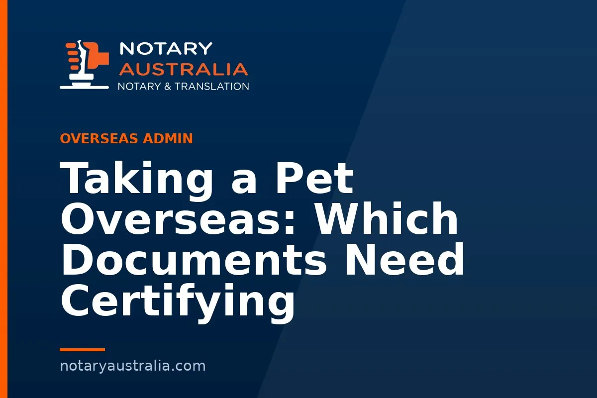 Taking a Pet Overseas: Which Documents Need Certifying
