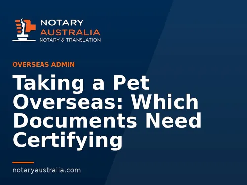 Taking a Pet Overseas: Which Documents Need Certifying