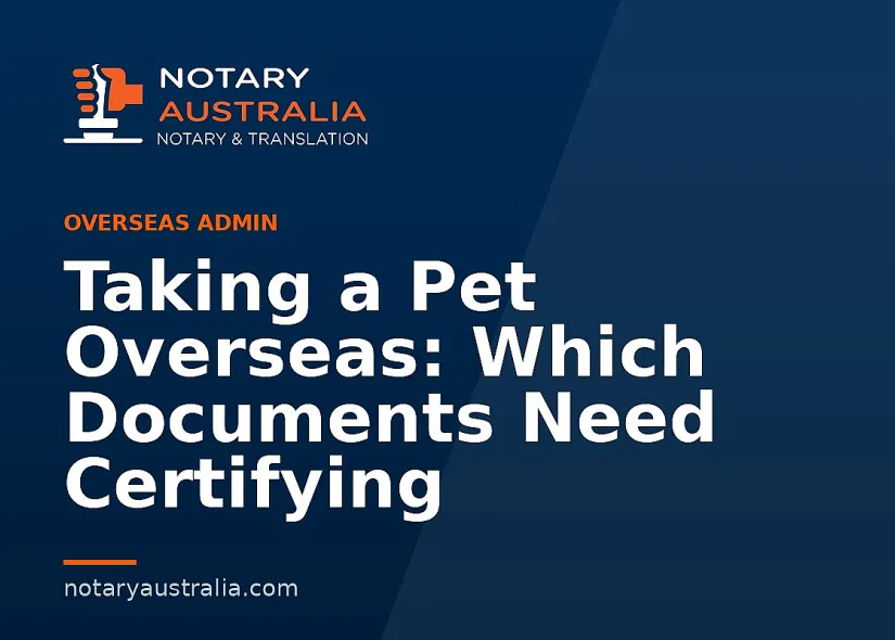 Taking a Pet Overseas: Which Documents Need Certifying
